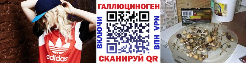 Псилоцибиновые грибы Cubensis  Верхняя Тура 
