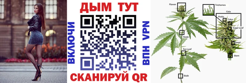 Бошки Шишки THC 21%  купить   это официальный сайт  Верхняя Тура 